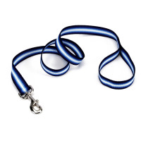 Повідець Coastal Trendz Graduated для собак, синій, 1×1.8 м