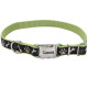 Нашийник Coastal Pet Attire Ribbon для собак, чорний, 1.6×45 см