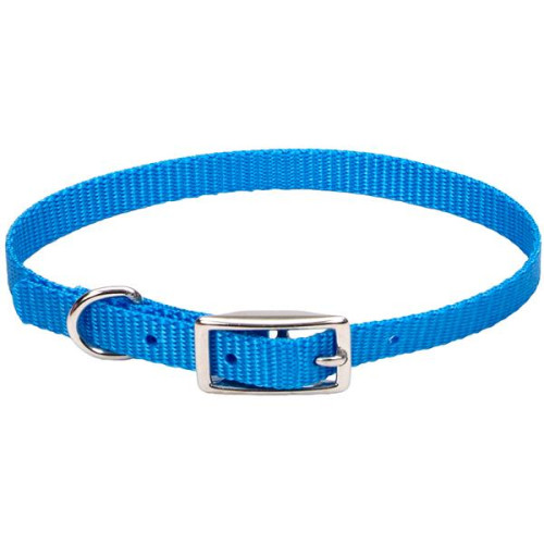 Нашийник Coastal Nylon Web для собак, блакитний, 1×25 см