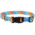 Нашийник Coastal Pet Attire Style для собак, різнокольоровий