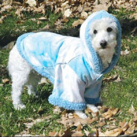 Пальто Doggyduds A Bit Chilly для собак, розмір XS, блакитний Пальто Doggyduds A Bit Chilly для собак, розмір XS, блакитний