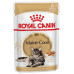 Вологий корм Royal Canin Maine Coon Adult для мейн-кунів, шматочки в соусі, 85 г