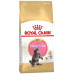 Сухий корм Royal Canin Maine Coon Kitten для кошенят мейн-кунів до 15 місяців, 2 кг