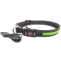Нашийник LED AnimAll для собак M 2,5 / 40-50 см, зелений