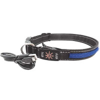 Нашийник LED AnimAll для собак L 2,5 / 50-60 см, синій