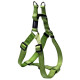 Шлея Степ Ін для собак Utility M, 42-61, салатова