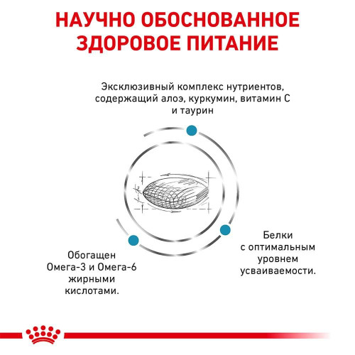 Сухий корм Royal Canin Skin Support при дерматозах і випаданні шерсті у собак, 2 кг