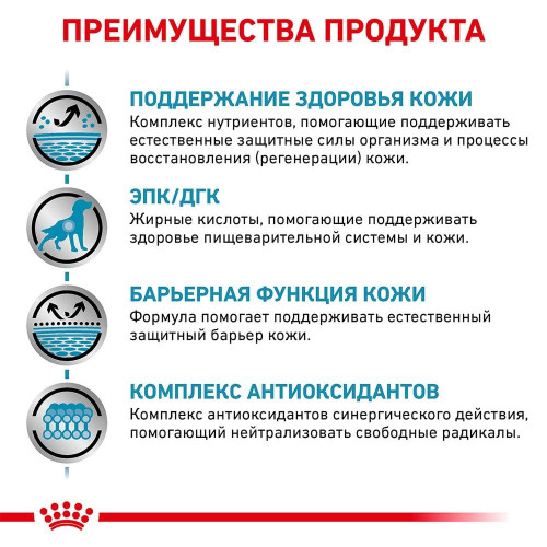 Сухий корм Royal Canin Skin Support при дерматозах і випаданні шерсті у собак, 2 кг