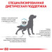 Сухий корм Royal Canin Skin Support при дерматозах і випаданні шерсті у собак, 2 кг