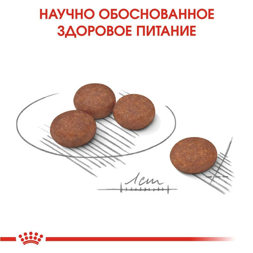 Сухий корм Royal Canin Mini Digestive Care при чутливому травленні у собак дрібних порід, 1 кг
