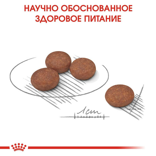 Сухий корм Royal Canin Mini Digestive Care при чутливому травленні у собак дрібних порід, 3 кг