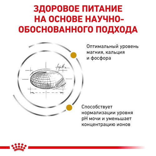 Сухий корм Royal Canin Urinary S / O при сечокам'яній хворобі у кішок, 9 кг