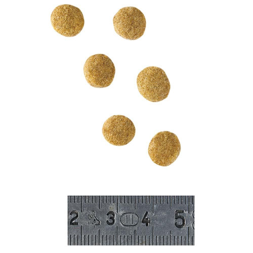 Сухий корм Royal Canin Hypoallergenic Small при харчової алергії у собак дрібних порід, 1 кг