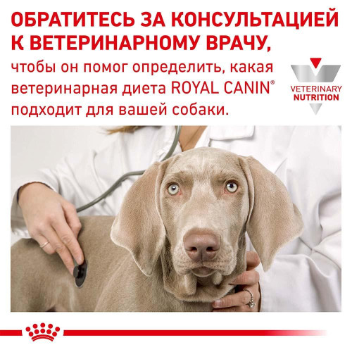 Вологий корм Royal Canin Hypoallergenic при харчової алергії у собак, 400 г