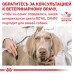 Вологий корм Royal Canin Hypoallergenic при харчової алергії у собак, 400 г