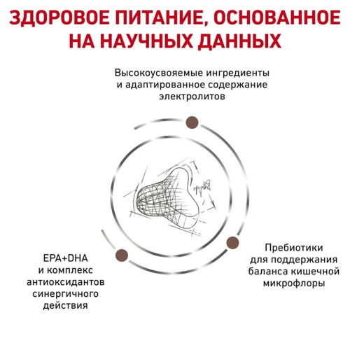Сухий корм Royal Canin Gastrointestinal Fibre Response при порушеннях травлення у кішок, 2 кг
