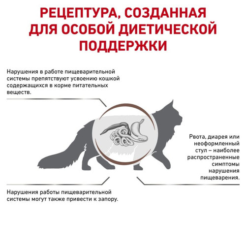 Сухий корм Royal Canin Gastrointestinal Fibre Response при порушеннях травлення у кішок, 2 кг
