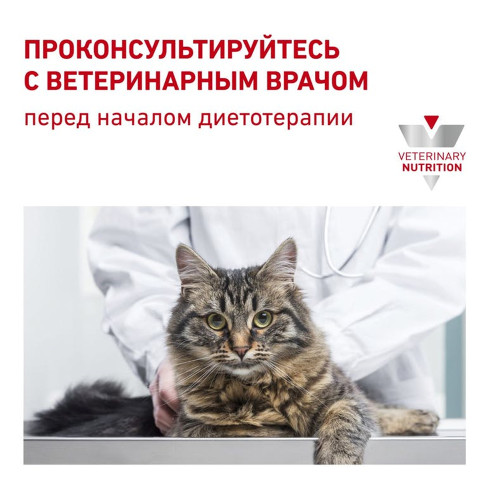 Сухий корм Royal Canin Gastrointestinal Fibre Response при порушеннях травлення у кішок, 2 кг