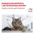Сухий корм Royal Canin Gastrointestinal Fibre Response при порушеннях травлення у кішок, 2 кг