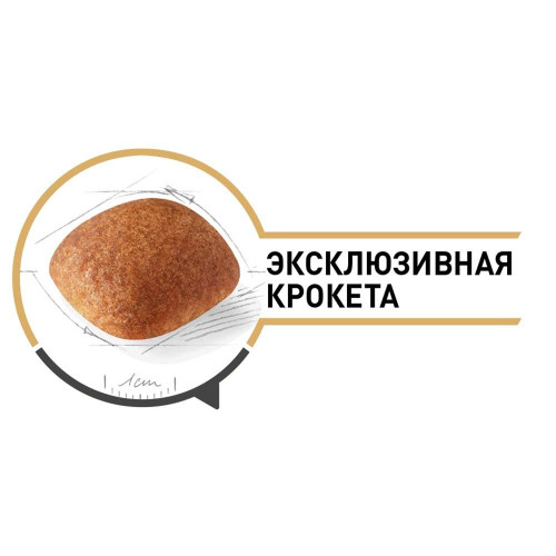 Сухий корм Royal Canin Golden Retriever Adult для золотистого ретривера, 12 кг