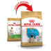 Сухий корм Royal Canin Pug Puppy для цуценят мопса до 10 місяців, 500 г