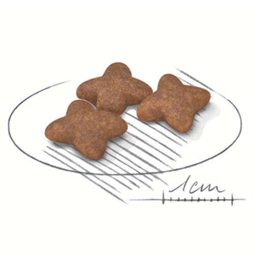 Сухий корм Royal Canin Mini Adult для собак дрібних порід, 800 г