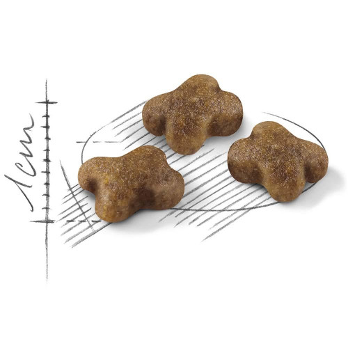 Сухий корм Royal Canin Kitten для кошенят від 4 до 12 місяців, 4 кг