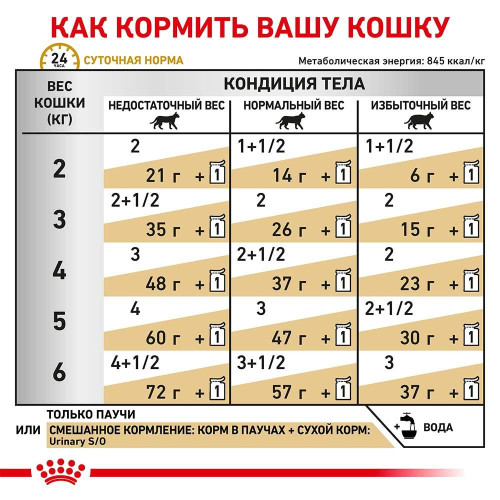 Вологий корм Royal Canin Urinary S/O при сечокам'яній хворобі у кішок, шматочки в соусі, 85 г