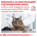 Вологий корм Royal Canin Urinary S/O при сечокам'яній хворобі у кішок, шматочки в соусі, 85 г