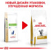 Сухий корм Royal Canin Urinary S / O при сечокам'яній хворобі у кішок, 3.5 кг