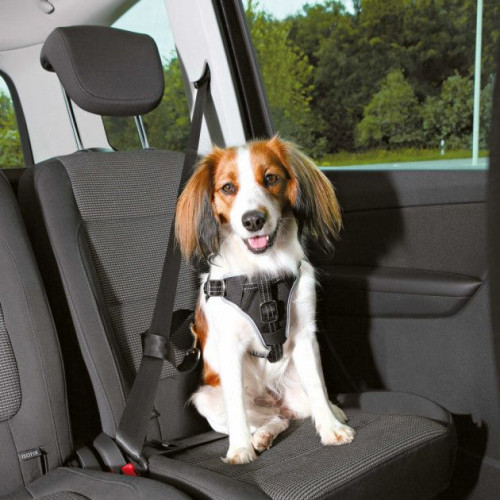 Шлея захисна Trixie Dog Protect XL для собак, в авто, 80 - 100 см х 23 мм, нейлон, чорний