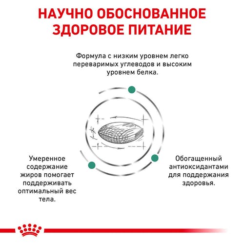 Сухий корм Royal Canin Diabetic при цукровому діабеті у собак, 12 кг