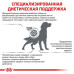Сухий корм Royal Canin Diabetic при цукровому діабеті у собак, 12 кг