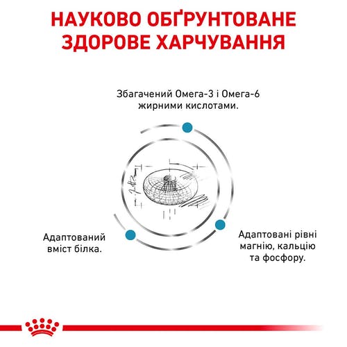 Сухий корм Royal Canin Skin & Coat при дерматозе і випаданні шерсті у котів, 400 г