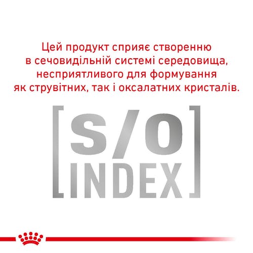 Сухий корм Royal Canin Skin & Coat при дерматозе і випаданні шерсті у котів, 400 г
