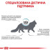 Сухий корм Royal Canin Skin & Coat при дерматозе і випаданні шерсті у котів, 400 г