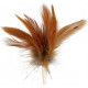 Змінна іграшка для Trixie Feather Hider, для кішок, 2 шт