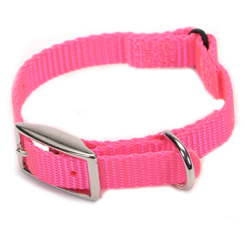Безпечний нашийник Coastal Nylon Web для кішок, рожевий, 1 × 20 см