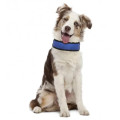 Охолоджуючий нашийник Croci Harness Fresh для собак, нейлон, синій, 50×6 см