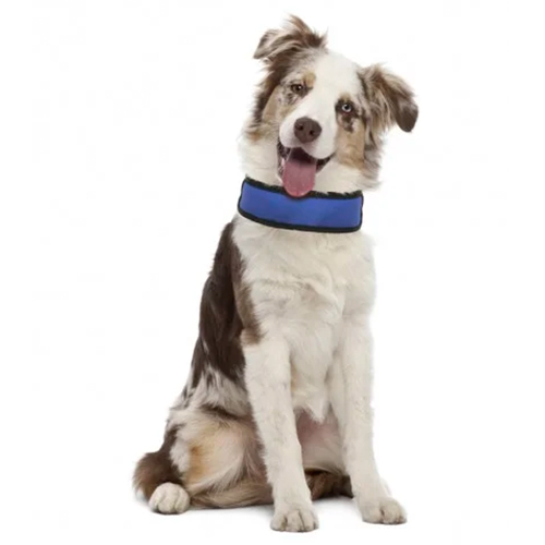 Охолоджуючий нашийник Croci Harness Fresh для собак, нейлон, синій, 50×6 см