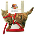 Набір нашийник з повідцем Croci Nylon Gatto для котів, нейлон, червоний, 19-31×0.8 см/120×0.8 см