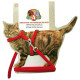 Набір нашийник з повідцем Croci Nylon Gatto для котів, нейлон, червоний, 19-31×0.8 см/120×0.8 см