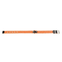 Нашийник для собак Брезент х / б Тасьма помаранчевий 25 мм 41-53 см
