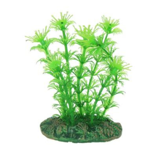 Штучне рослина Aqua Nova NP-10 08078, 10см