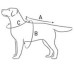 Пластиковий комір Dog Extreme для собак і кішок, розмір L, білий, 25 см