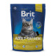 Сухий корм Brit Premium Cat Adult Salmon, для кішок, 0.3 кг
