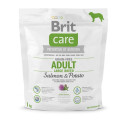 Сухий корм Brit GF Adult Large Breed Salmon & Potato, для собак вагою від 25 кг, 1 кг