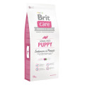 Сухий корм Brit Care GF Puppy Salmon & Potato, для цуценят, 12 кг