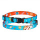 Нашийник BronzeDog Urban Cosmos, для котів, нейлоновий, дзвіночок, блакитний, 18-28×1 см