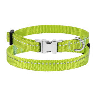 Ошейник BronzeDog Active, для собак и кошек, нейлоновый, фастекс хром, салатовый, 18-28×1 см